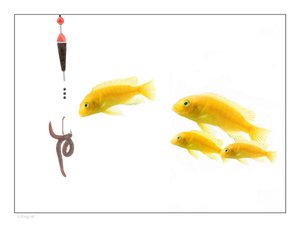 促销活动