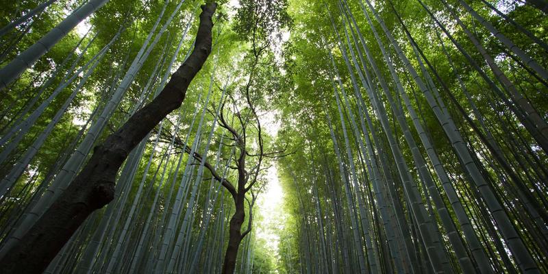 企业建站物流跟踪功能